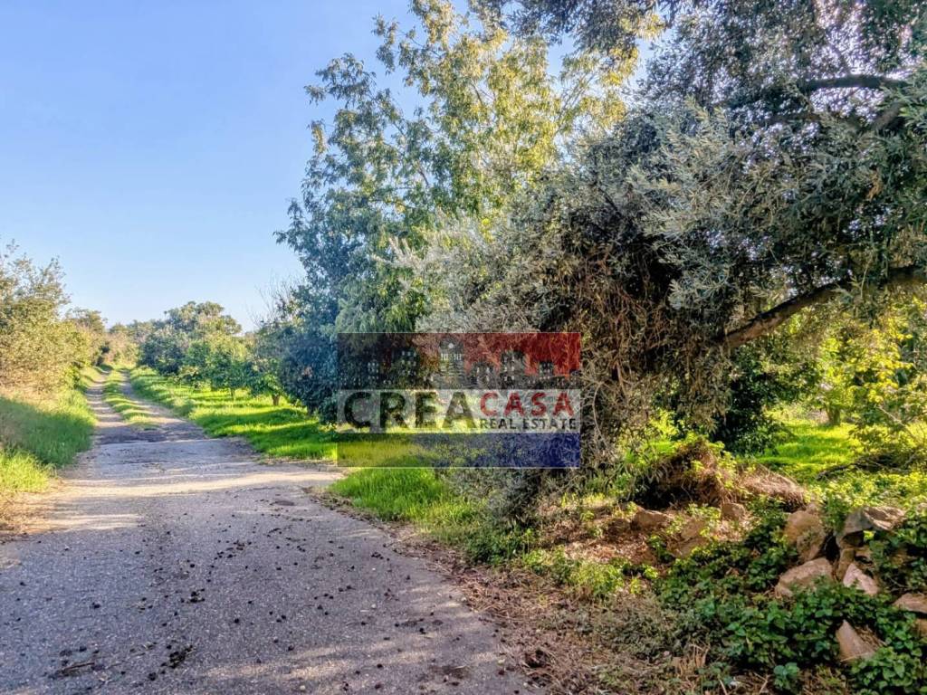 Terreno a Calatabiano in via Nazionale - Foto 4