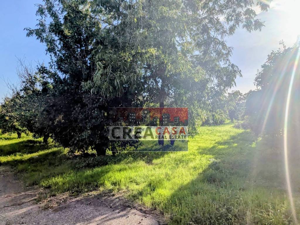 Terreno a Calatabiano in via Nazionale - Foto 5