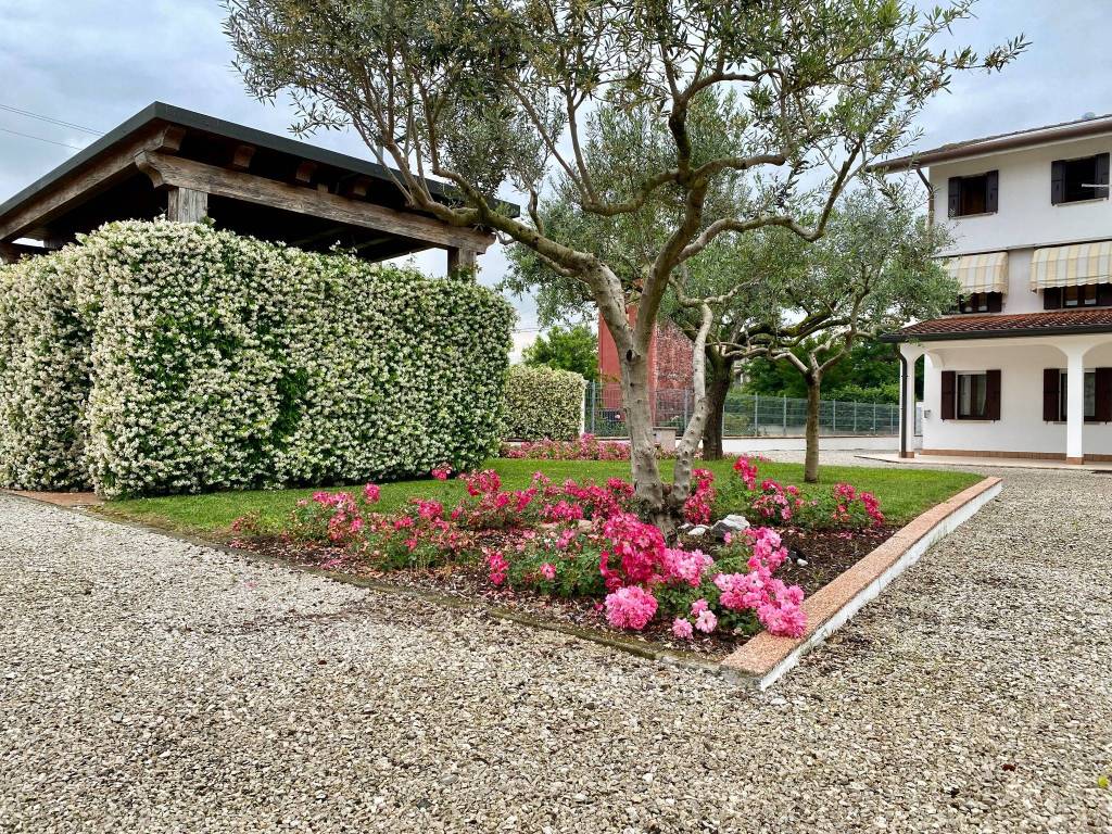 Rustico / casale a Villa del conte in Via Pelosa - Foto 2