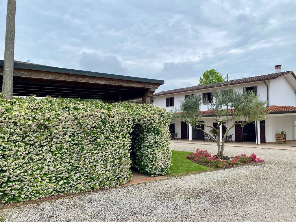 Rustico / casale a Villa del conte in Via Pelosa - Foto 4