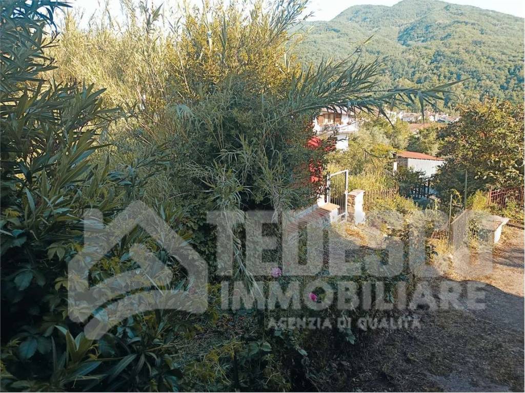Casa indipendente a Sant'angelo a cupolo in Bagnara- Via Amorisi snc - Foto 2