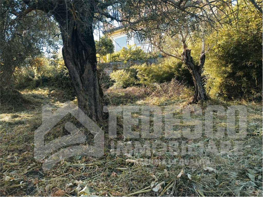 Casa indipendente a Sant'angelo a cupolo in Bagnara- Via Amorisi snc - Foto 3