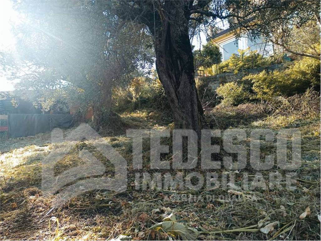 Casa indipendente a Sant'angelo a cupolo in Bagnara- Via Amorisi snc - Foto 4