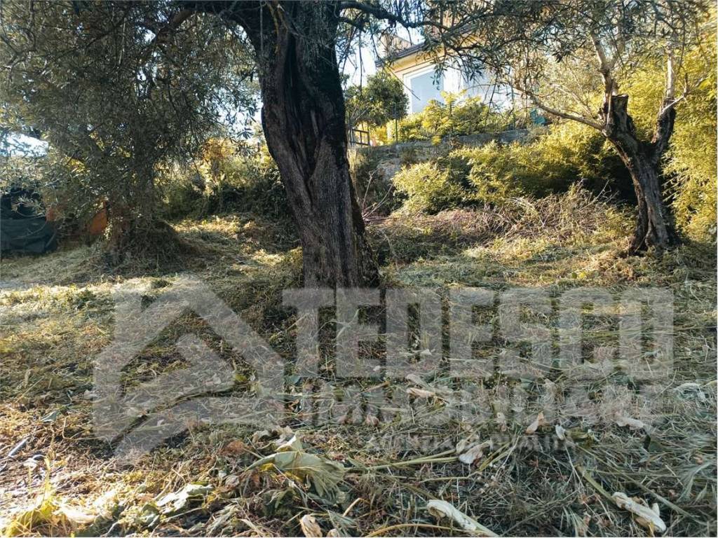 Casa indipendente a Sant'angelo a cupolo in Bagnara- Via Amorisi snc - Foto 5