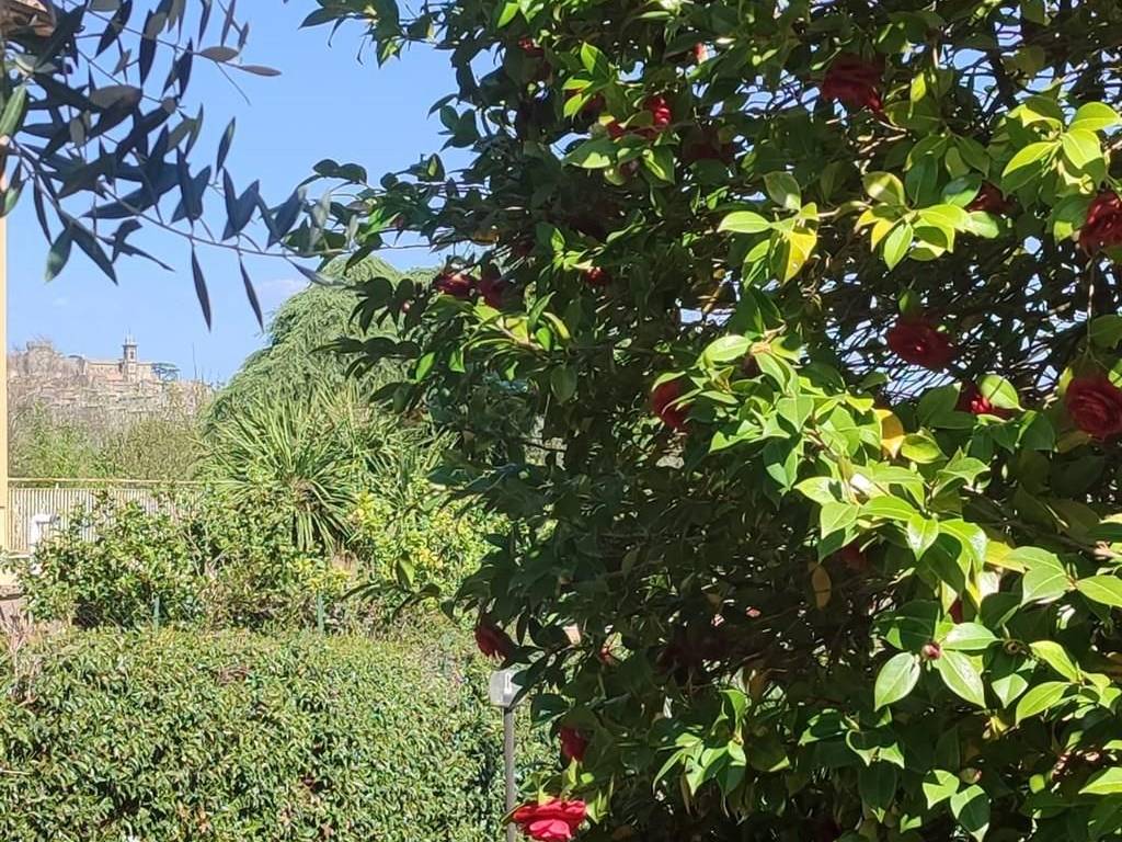 Villa a Bracciano - Foto 3