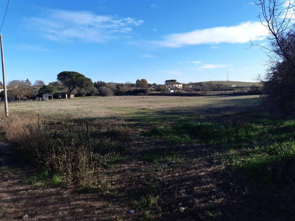 Terreno a Bracciano - Foto 2