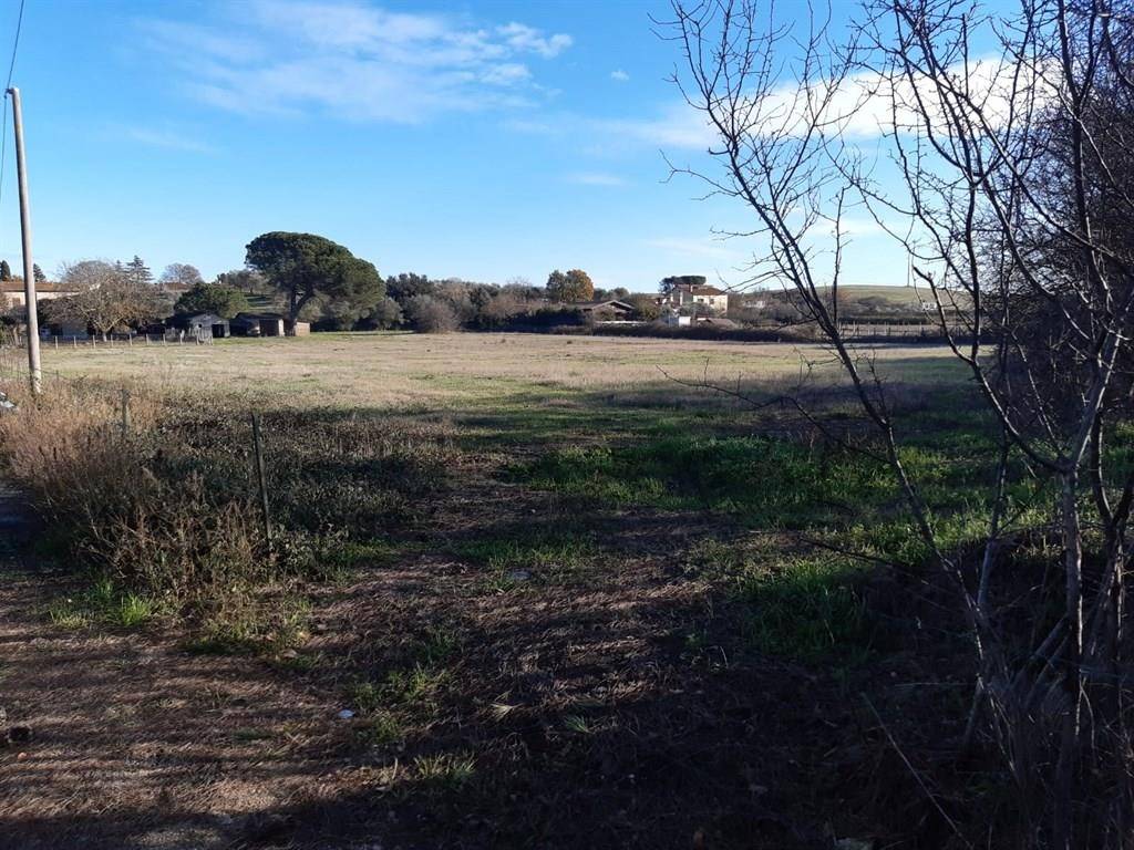 Terreno a Bracciano - Foto 3