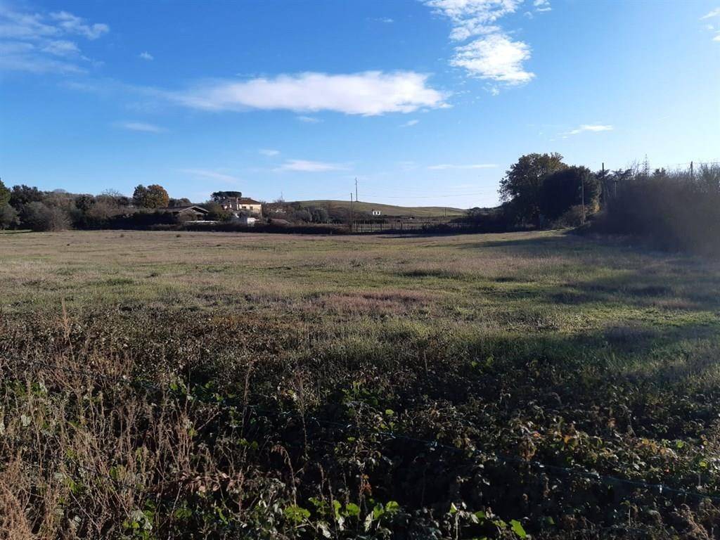 Terreno a Bracciano - Foto 4