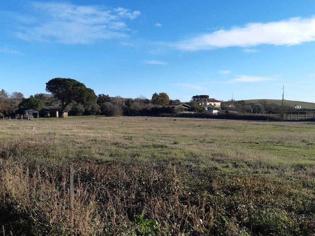 Terreno a Bracciano - Foto 5