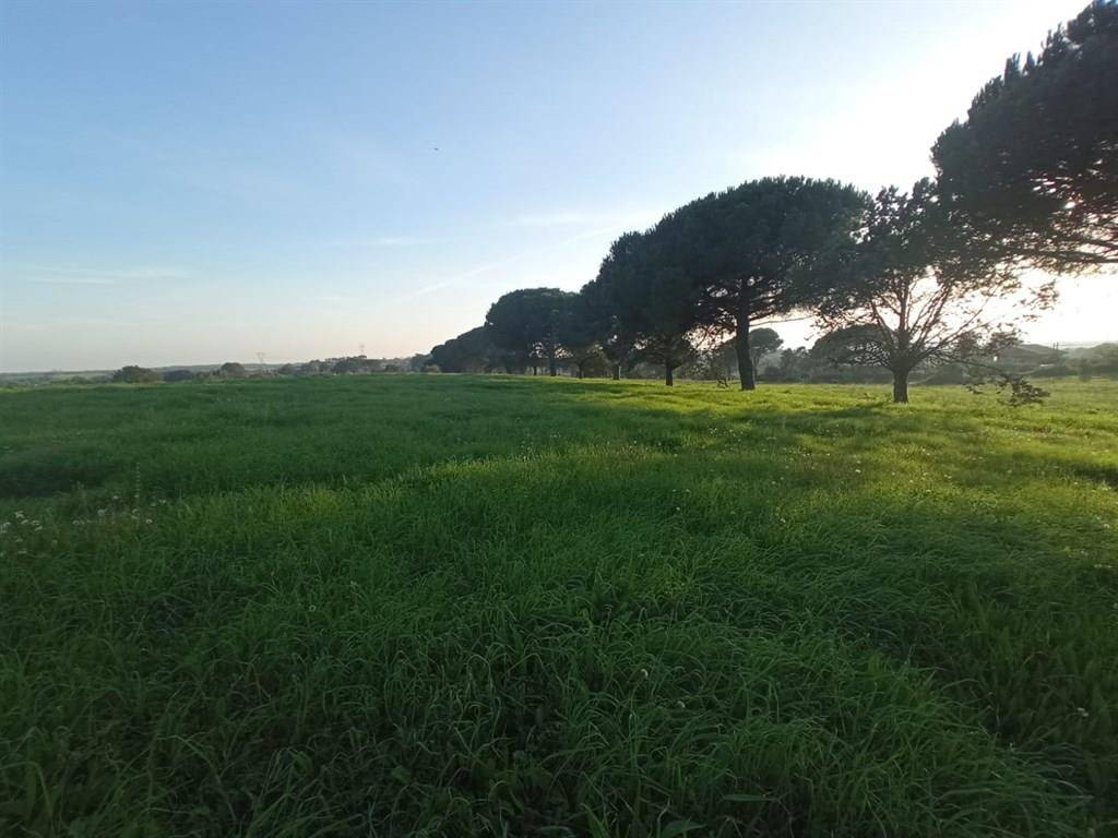 Terreno a Bracciano - Foto 3