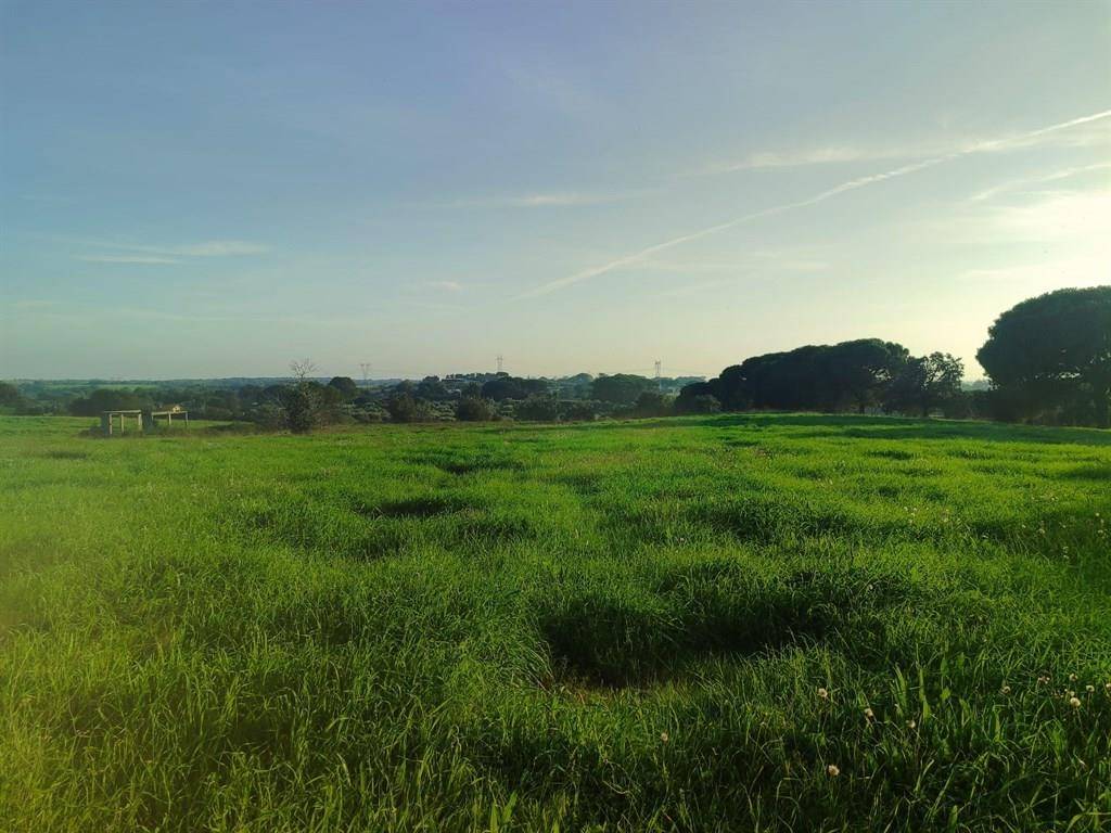 Terreno a Bracciano - Foto 4