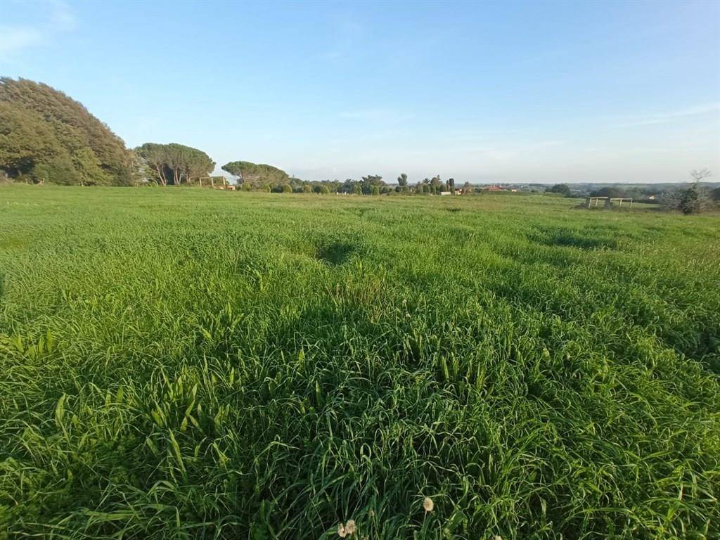 Terreno a Bracciano - Foto 5