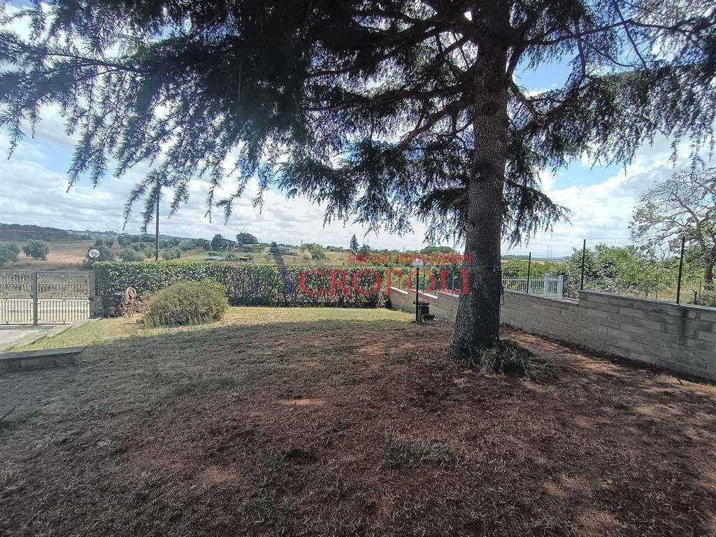 Appartamento a Anguillara sabazia in via della Torretta - Foto 4