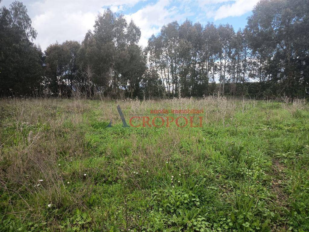 Terreno a Anguillara sabazia in Via Giosuè Carducci - Foto 2