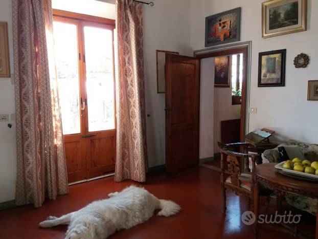 Terreno a Figline e incisa valdarno - Foto 4