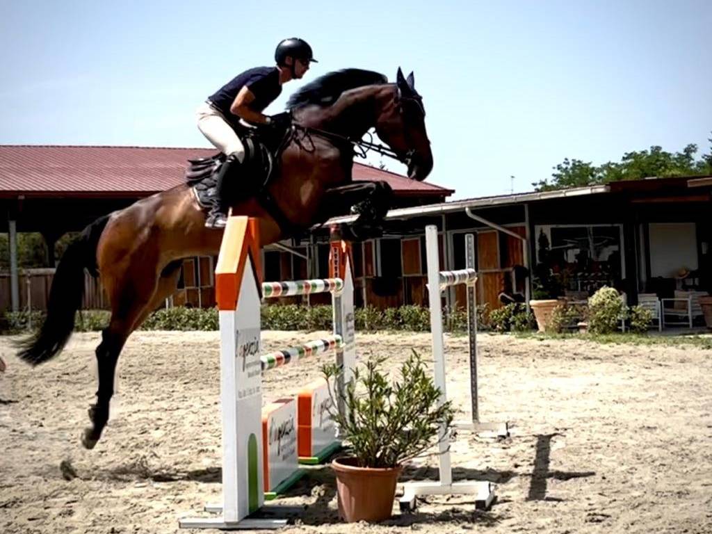 Terreno a Chitignano - Foto 2