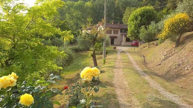 Terreno a Vicchio in ARSELLA - Foto 2