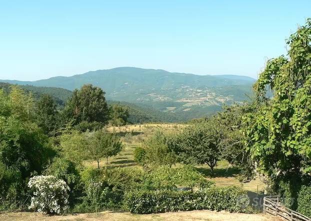Terreno a Vicchio in ARSELLA - Foto 3