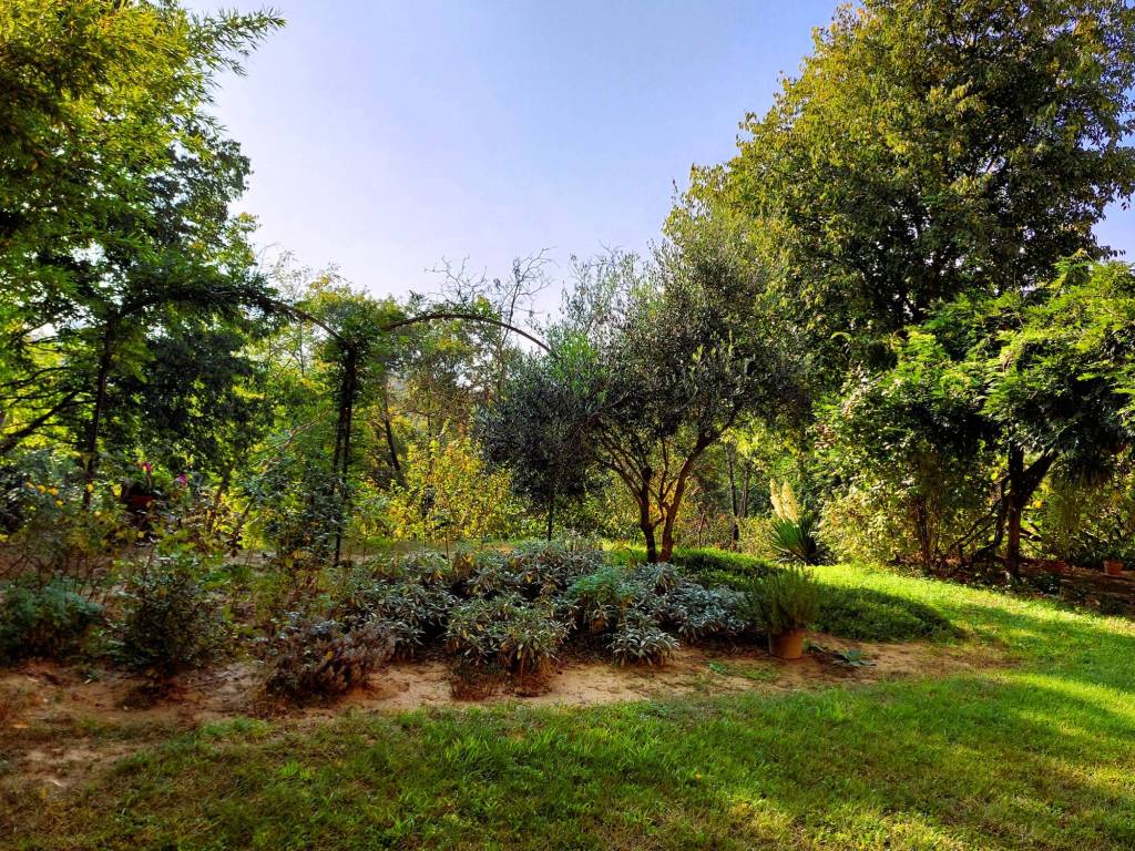 Rustico / casale a Portacomaro in Via Buffetto, 41 - Foto 5