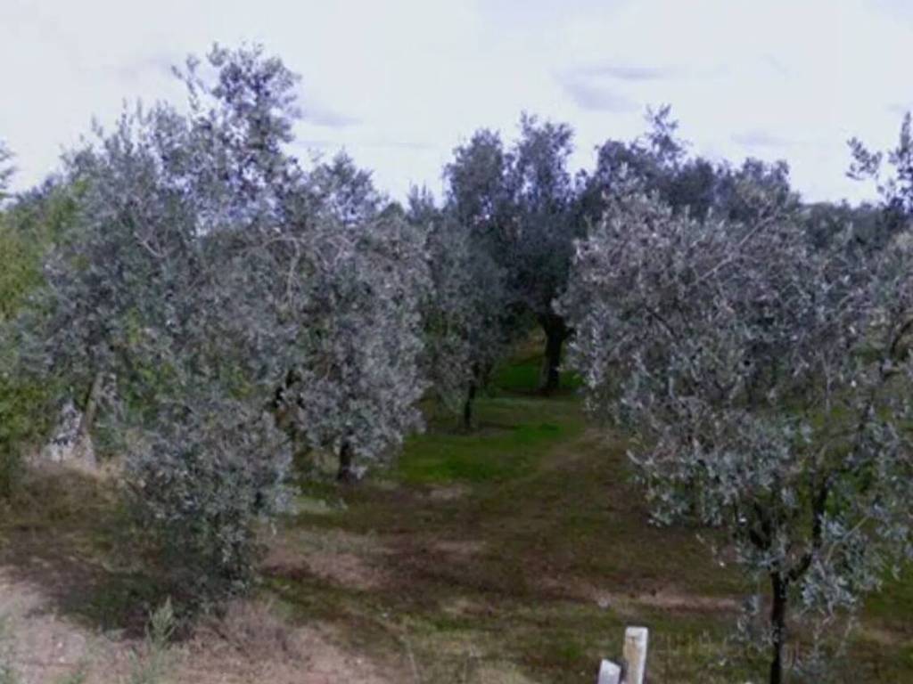 Terreno a Nettuno in Via Campo Cerreto No Number - Foto 2