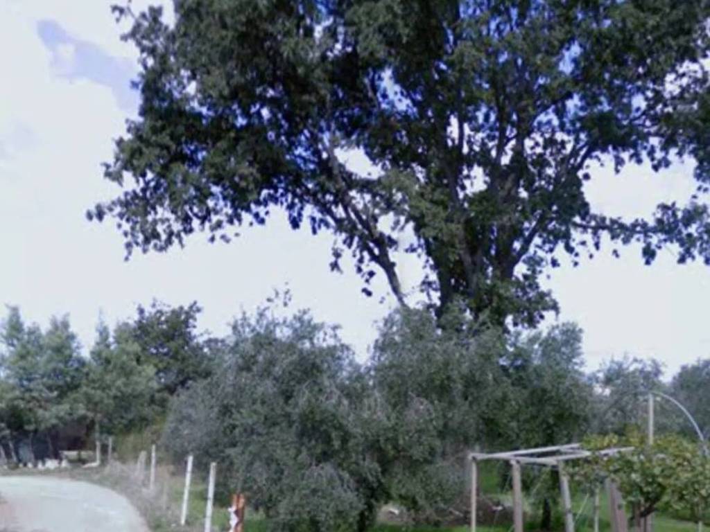 Terreno a Nettuno in Via Campo Cerreto No Number - Foto 3