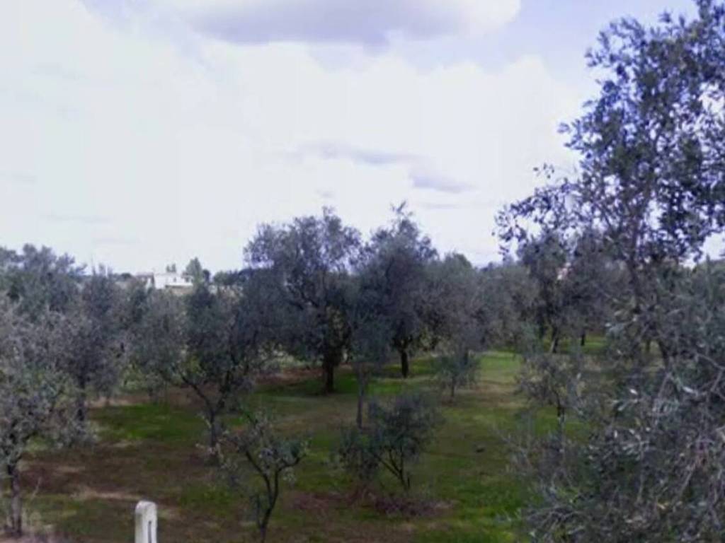 Terreno a Nettuno in Via Campo Cerreto No Number - Foto 4
