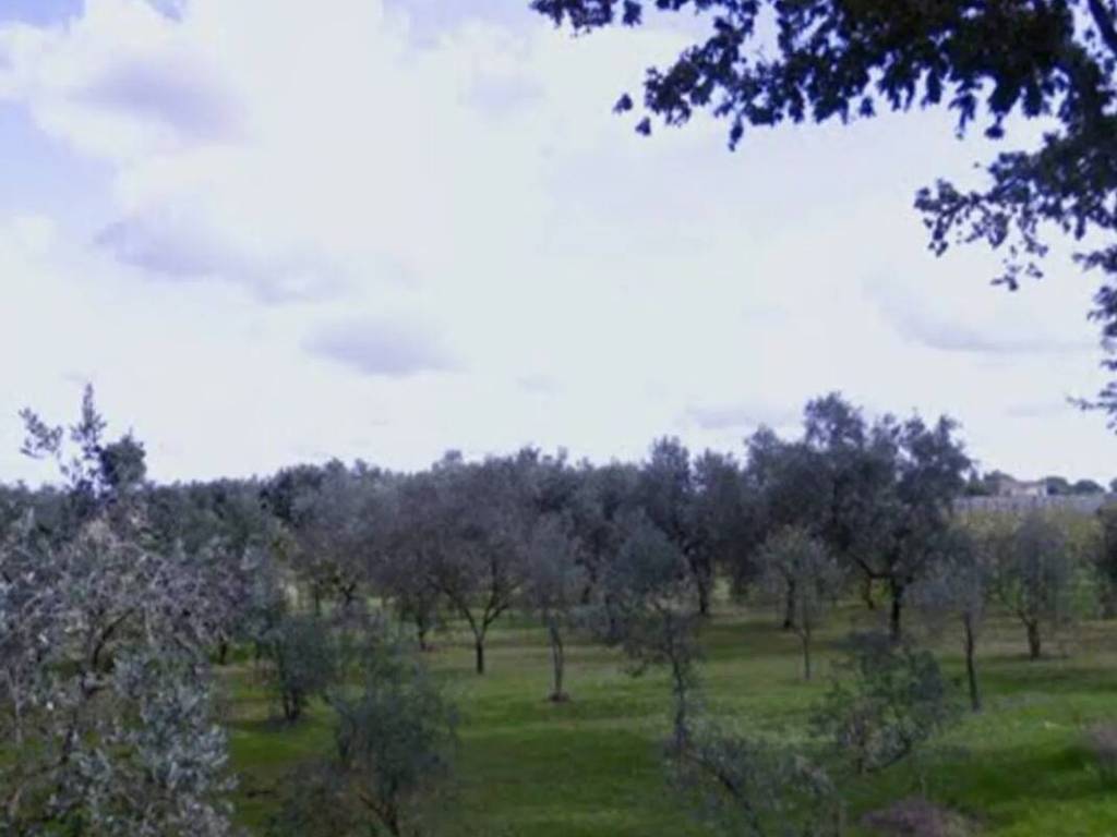 Terreno a Nettuno in Via Campo Cerreto No Number - Foto 5