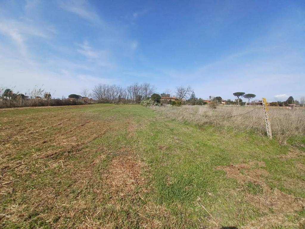 Terreno a Nettuno in Via Campo Cerreto No Number - Foto 4