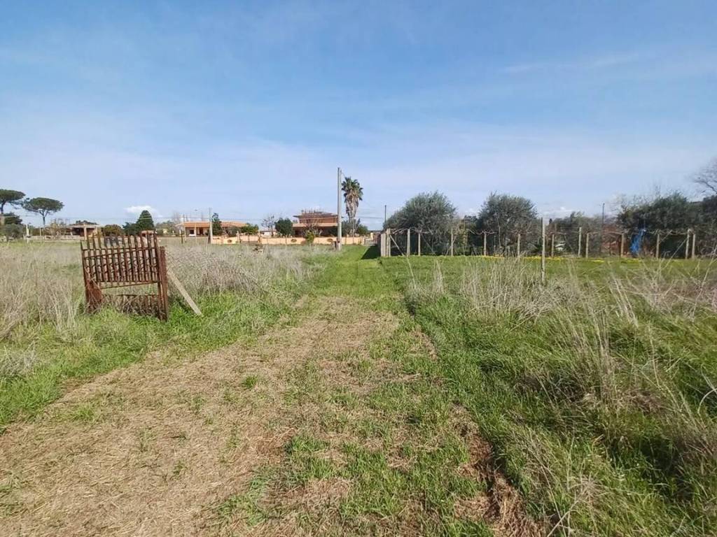 Terreno a Nettuno in Via Campo Cerreto No Number - Foto 5