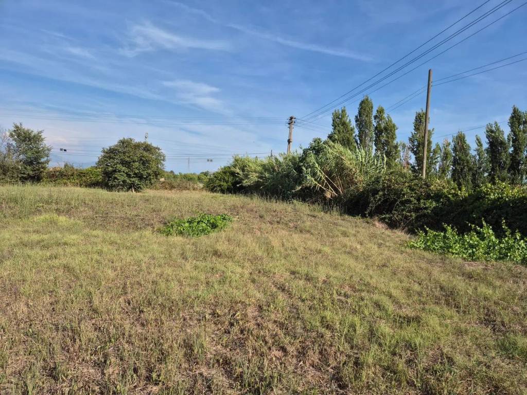 Rustico / casale a Cisterna di latina in Via Nettuno S.N.C. - Foto 5