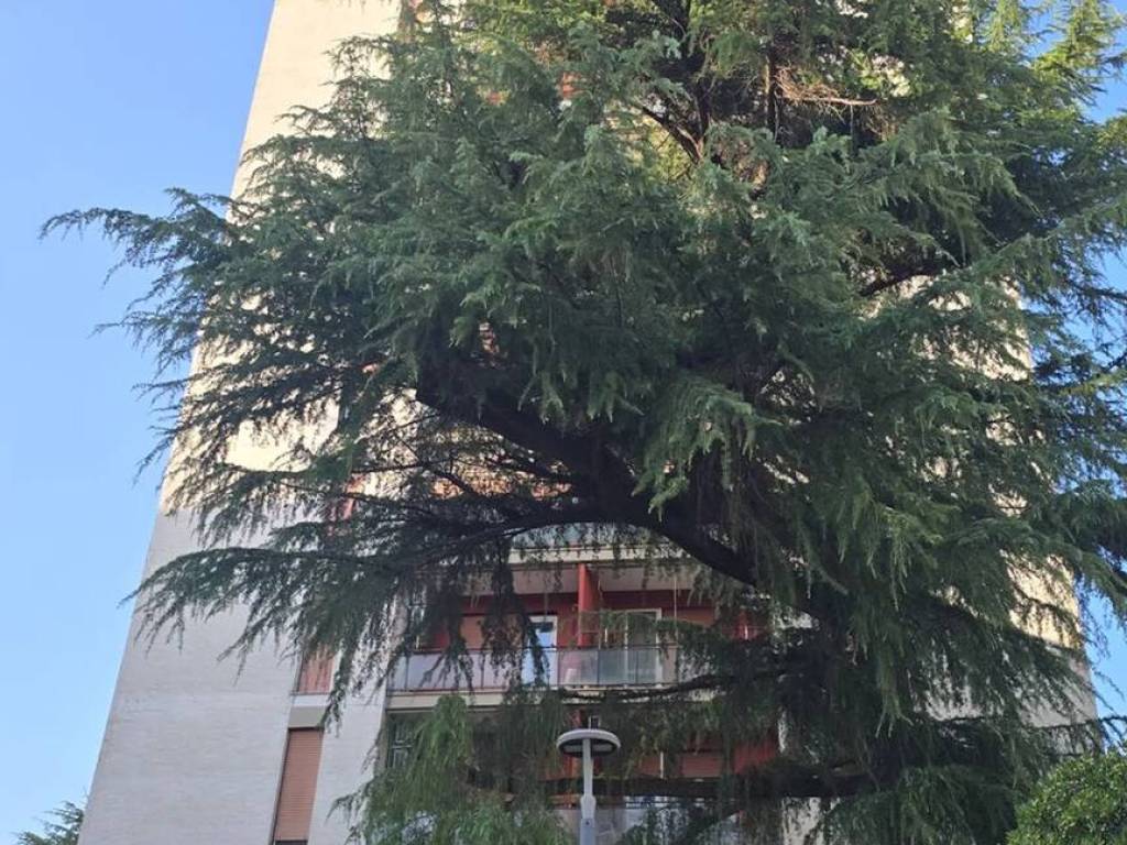 Appartamento a Aprilia in Via Giuseppe Di Vittorio, 6 - Foto 5