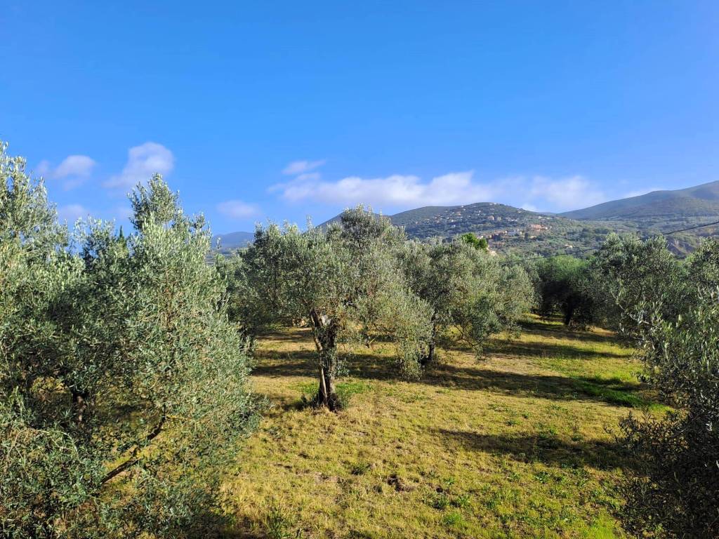 Rustico / casale a Alviano in Strada provinciale 30 - Foto 5