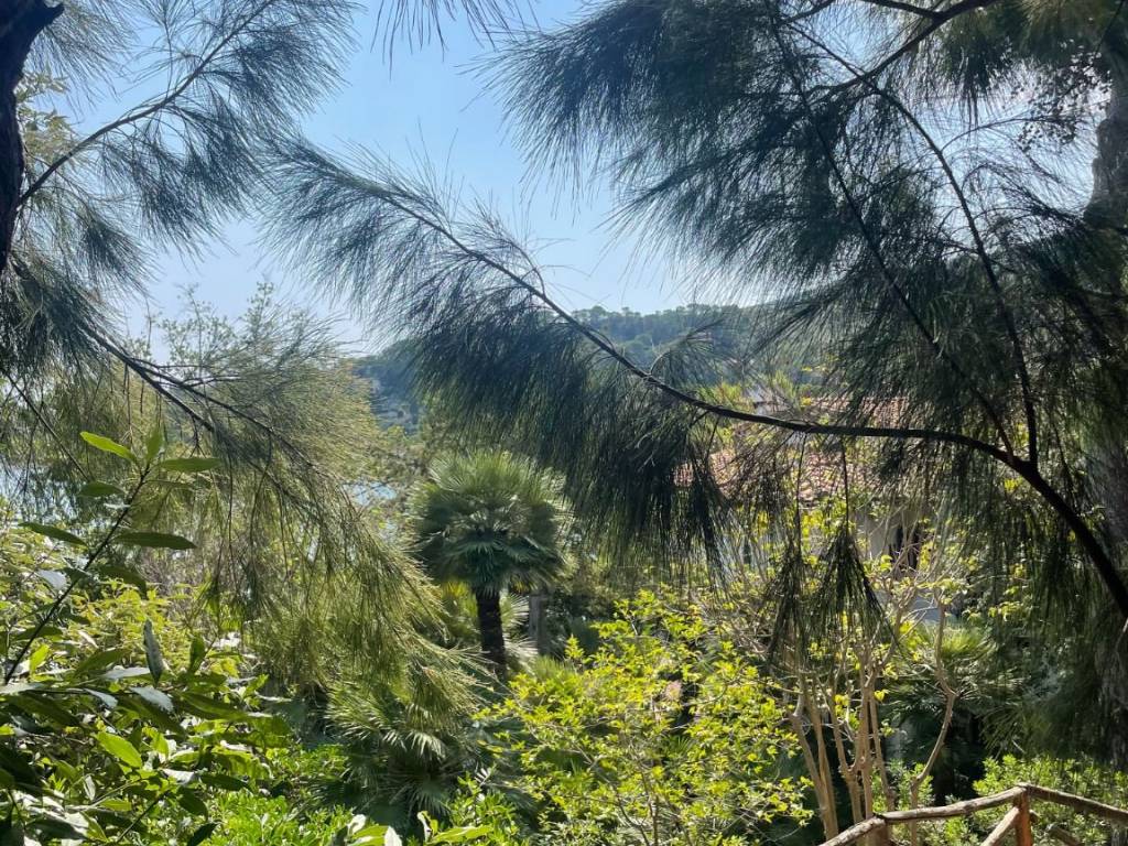 Villa a Monte argentario in Via del Sole - Foto 5