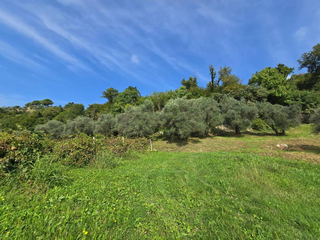Terreno a Bassano del grappa in Strada dei Pilati - Foto 2