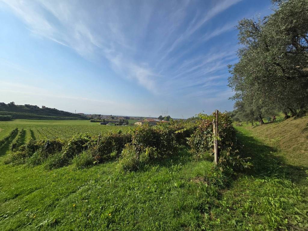 Terreno a Bassano del grappa in Strada dei Pilati - Foto 3