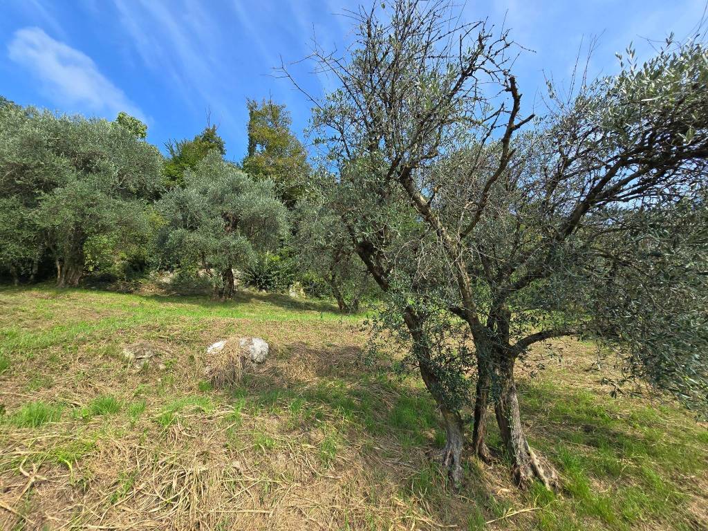 Terreno a Bassano del grappa in Strada dei Pilati - Foto 4