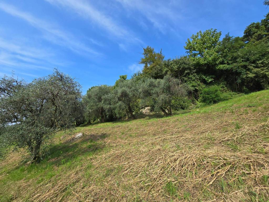 Terreno a Bassano del grappa in Strada dei Pilati - Foto 5