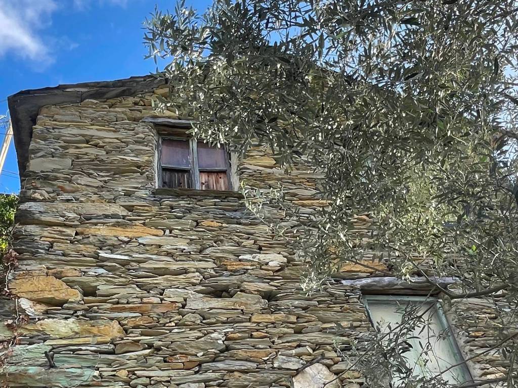 Rustico / casale a Avegno in Passo Sepozzo Inferiore - Foto 3