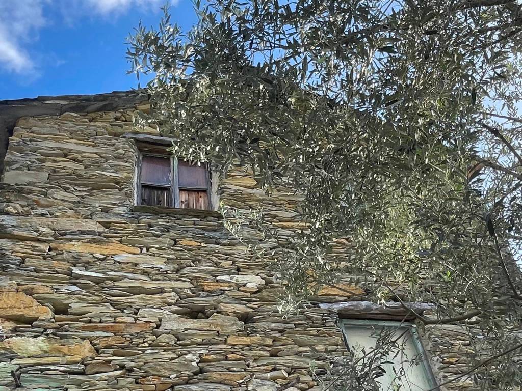 Rustico / casale a Avegno in Passo Sepozzo Inferiore - Foto 4