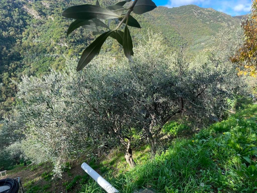 Rustico / casale a Avegno in Passo Sepozzo Inferiore - Foto 5