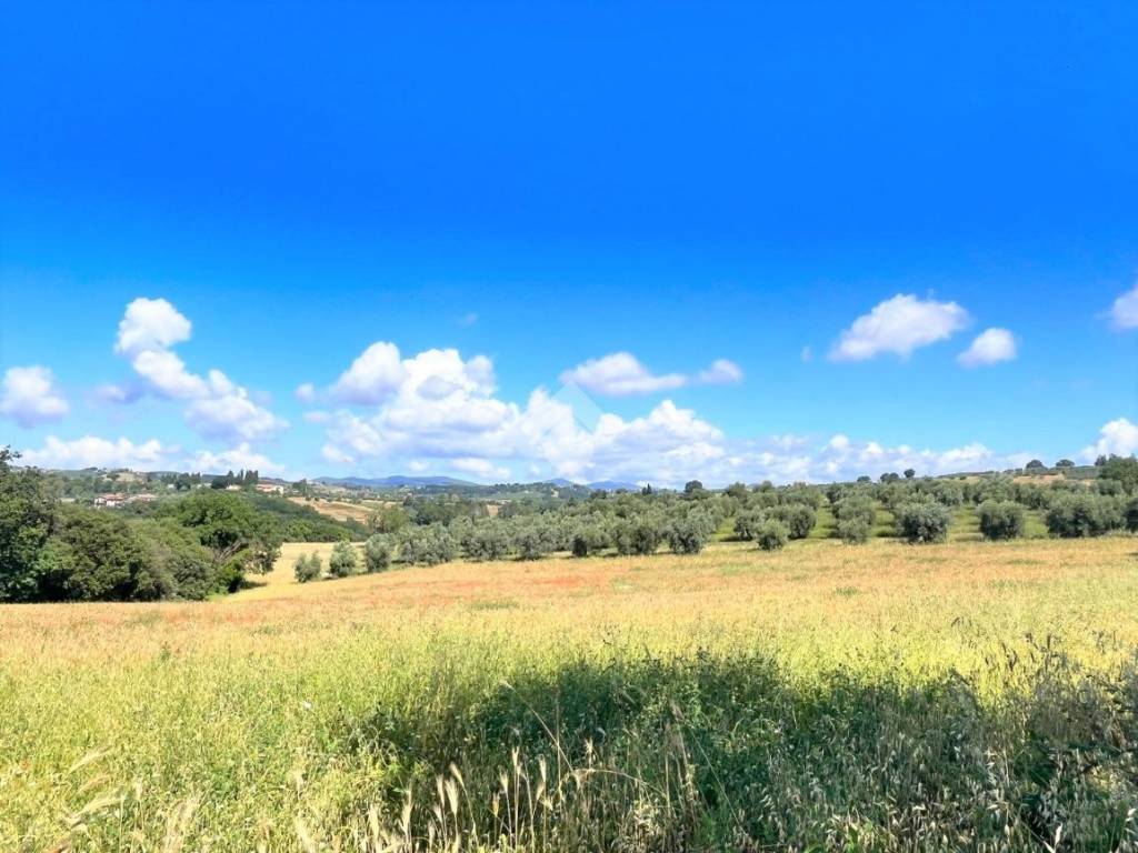 Terreno a Narni in Via Nera Montoro - Foto 3