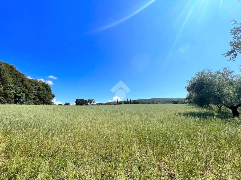 Terreno a Narni in Via Nera Montoro - Foto 4