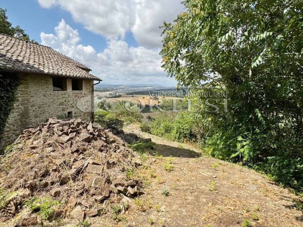 Appartamento a Torgiano in Via del Colle - Foto 5