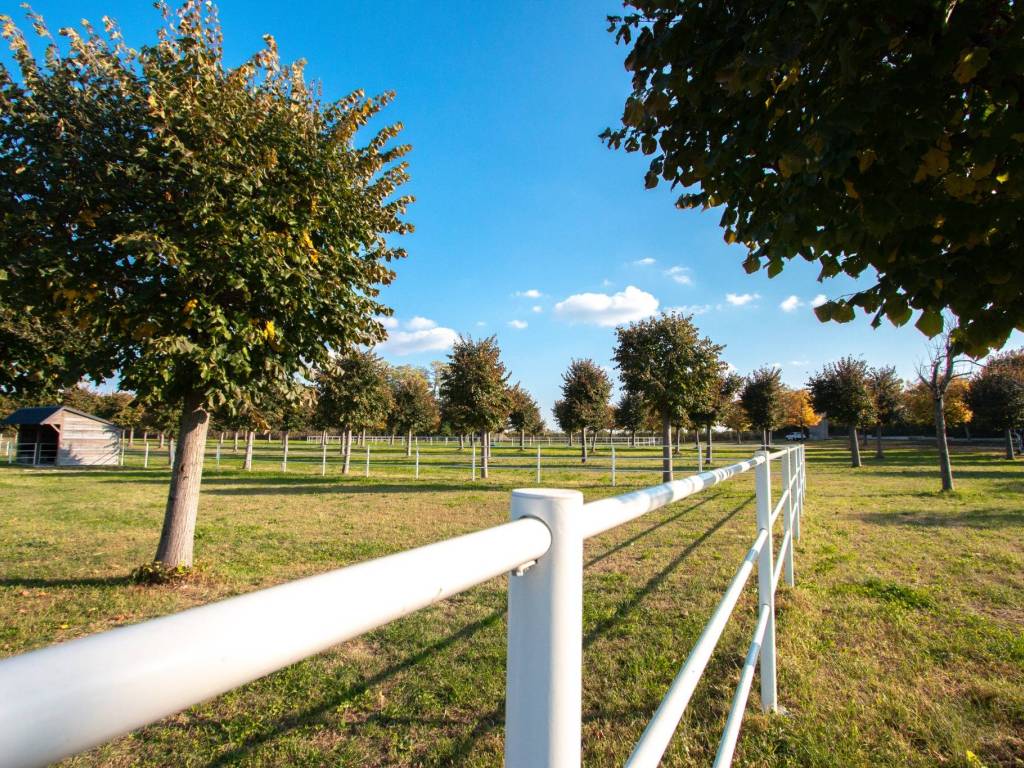 Casa indipendente a Bussolengo in Località Belcamin - Foto 4