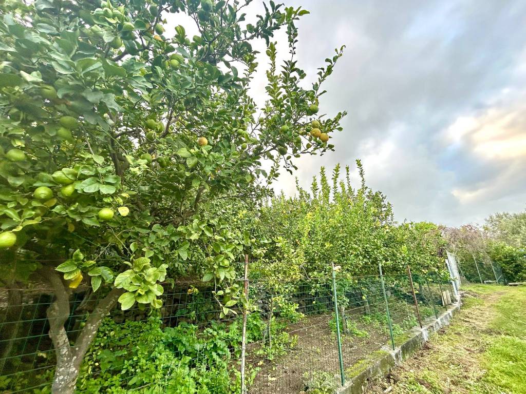 Terreno a Acireale - Foto 2