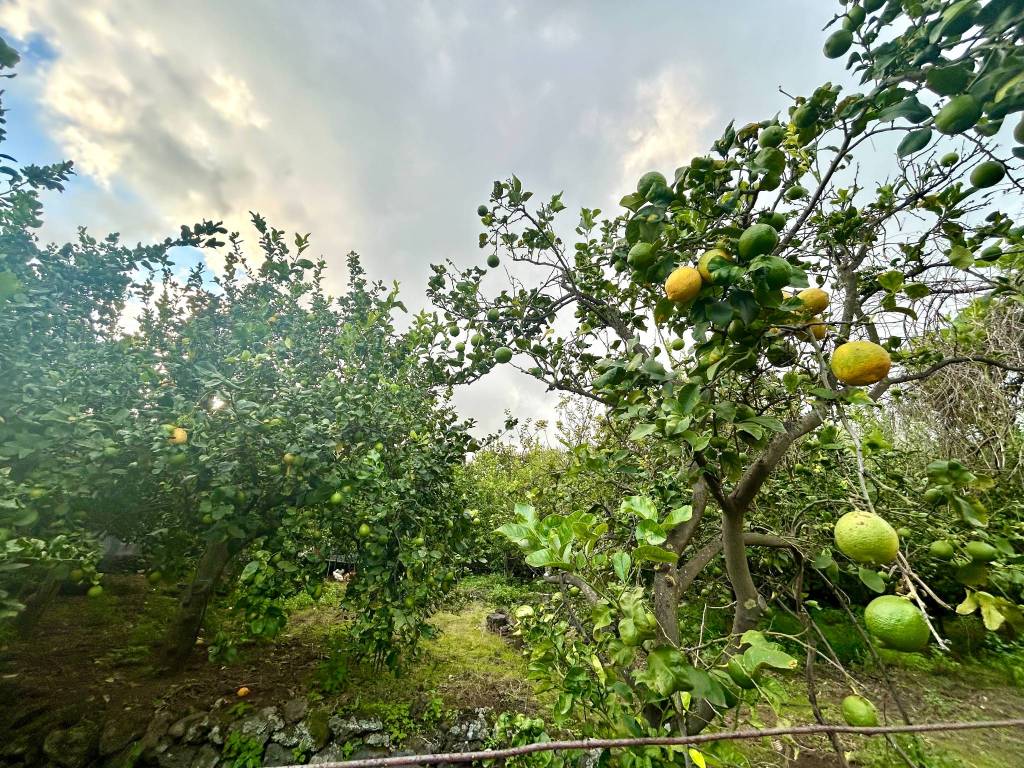 Terreno a Acireale - Foto 3
