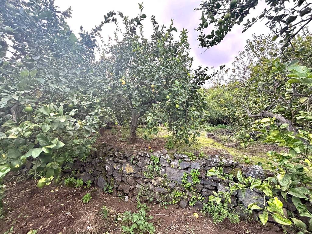 Terreno a Acireale - Foto 4