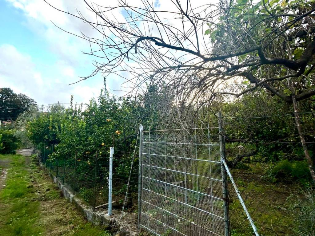 Terreno a Acireale - Foto 5