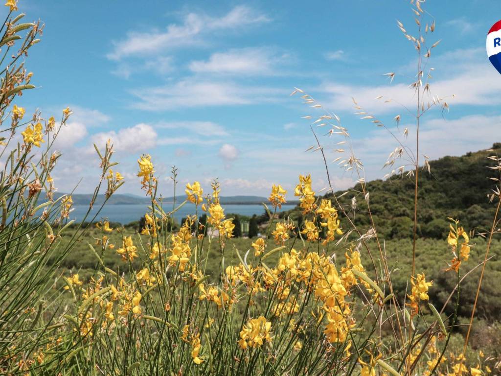 Villa a Monte argentario in Via Acquedotto Leopoldino - Foto 4