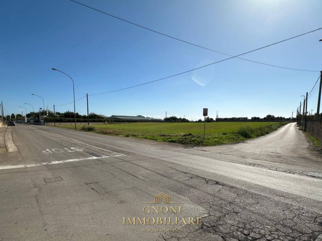 Terreno a Alezio in Via Rocci Perrella - Foto 2